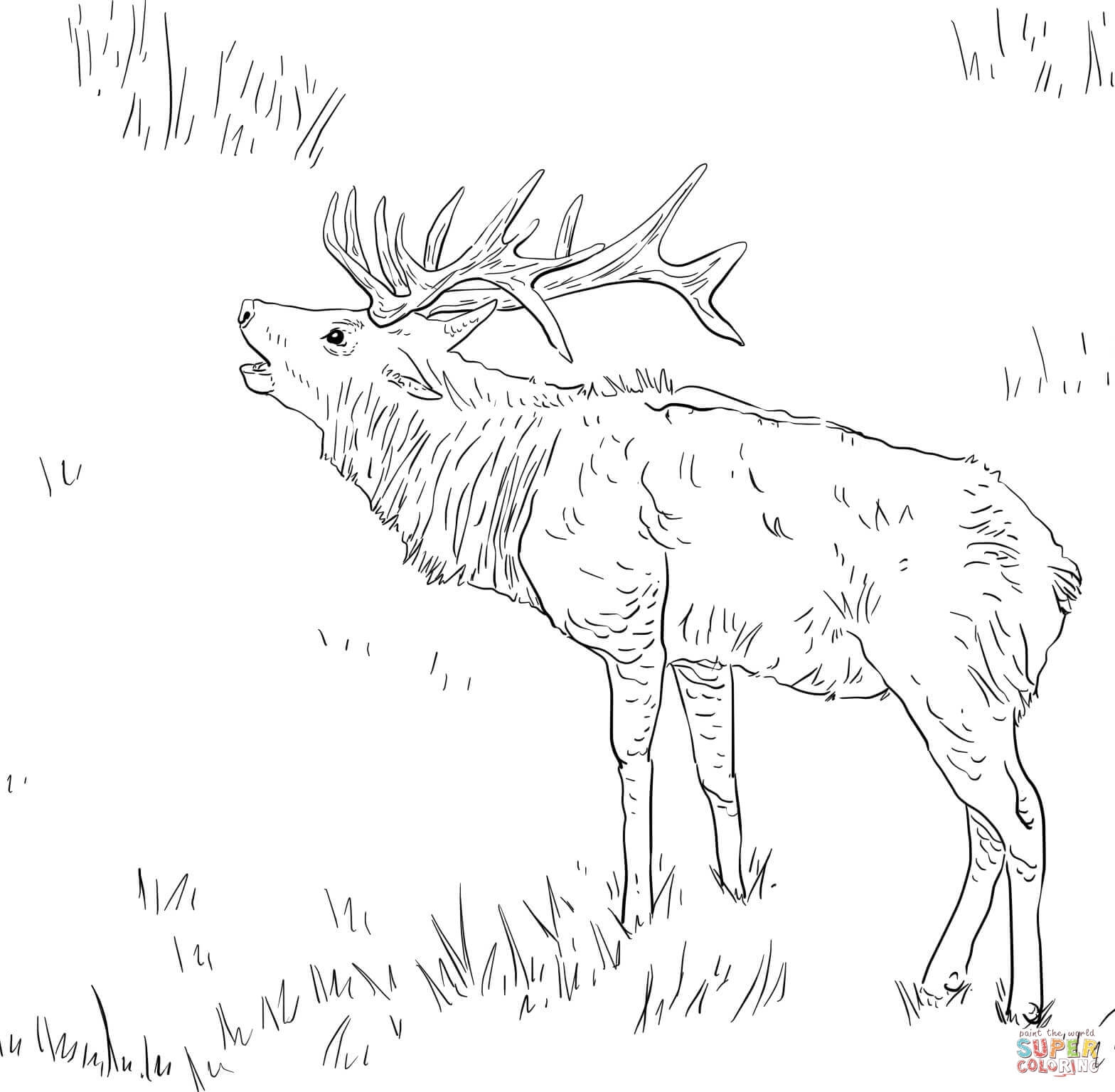1568x1536 Deer Coloring Page Vitlt Download
