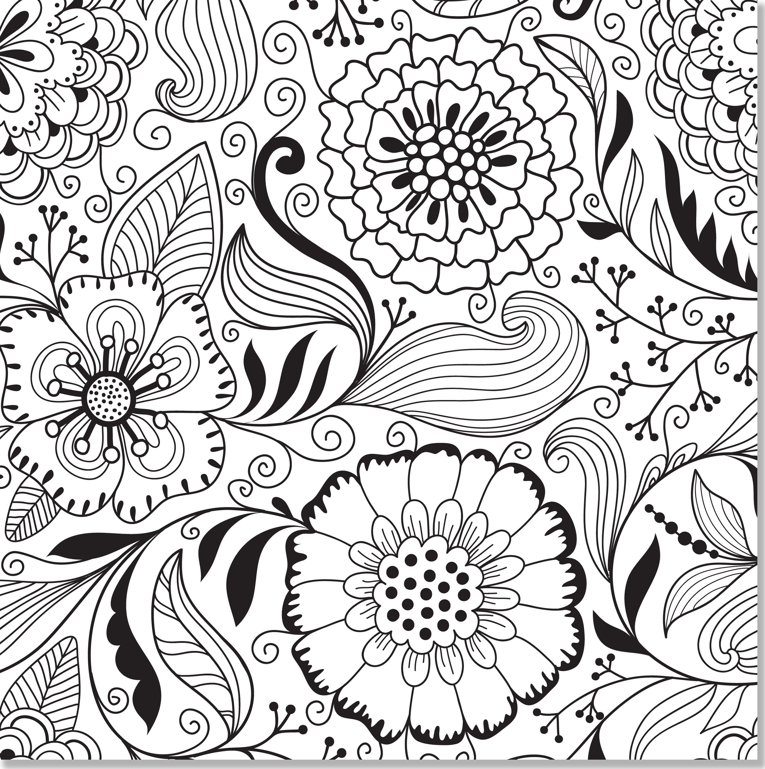 2546x2560 Category Coloring 0 Seanscoolass.co