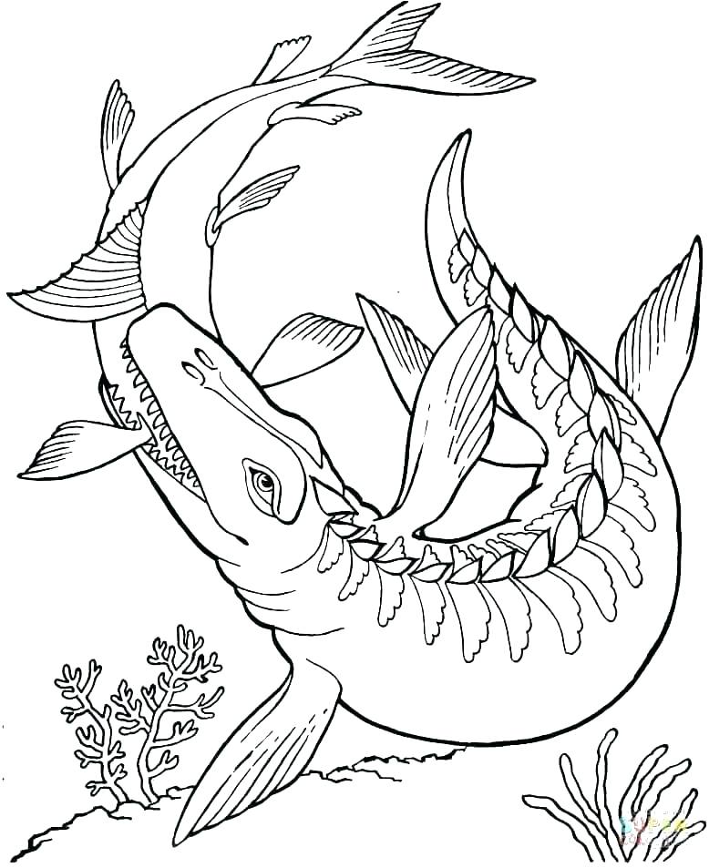 778x953 Dinosaur Coloring Pages Free Dinosaur Coloring Books Free Dinosaur