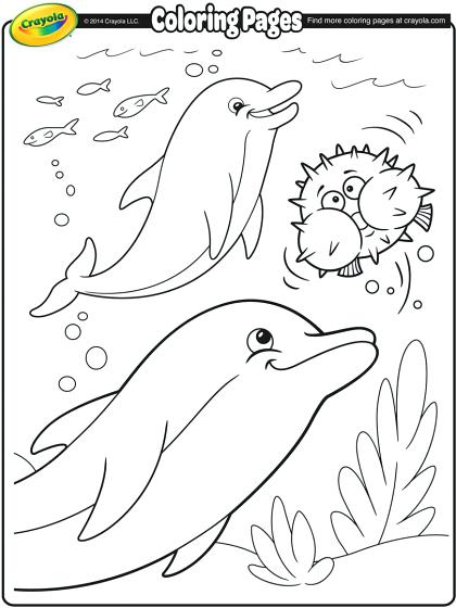 420x560 Dolphin Coloring Sheets Dolphin Coloring Pages Dolphin Coloring