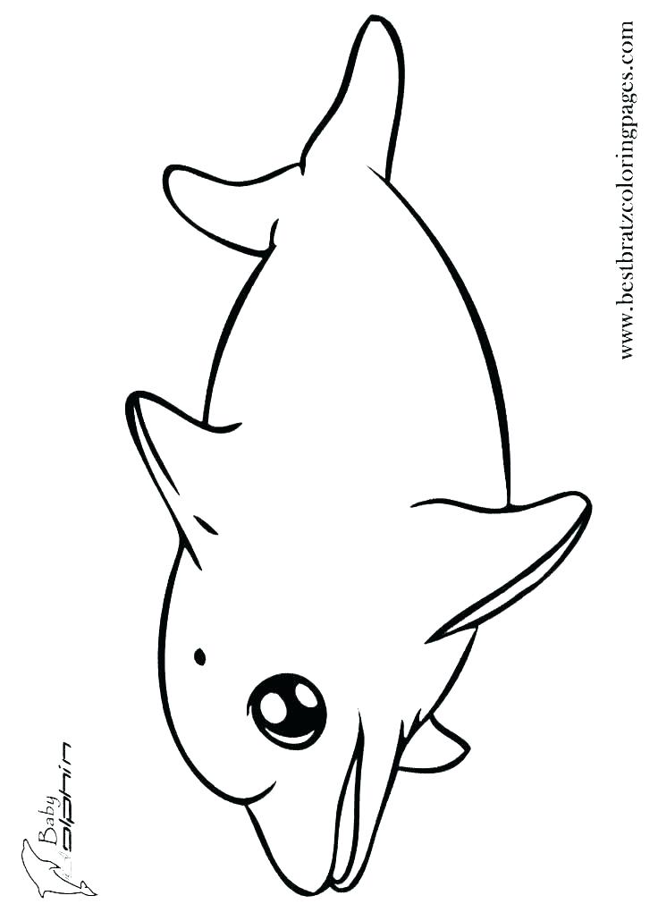 736x1030 Printable Dolphin Coloring Pages Coloring Pages Dolphins Dolphin