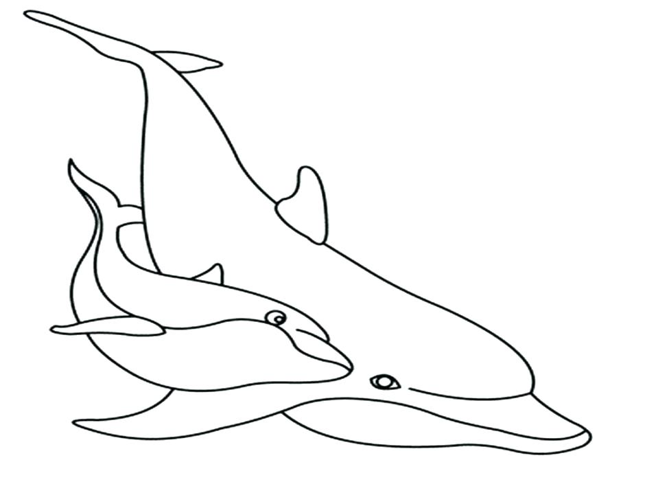 940x705 Dolphin Coloring Pages Printable Vanda