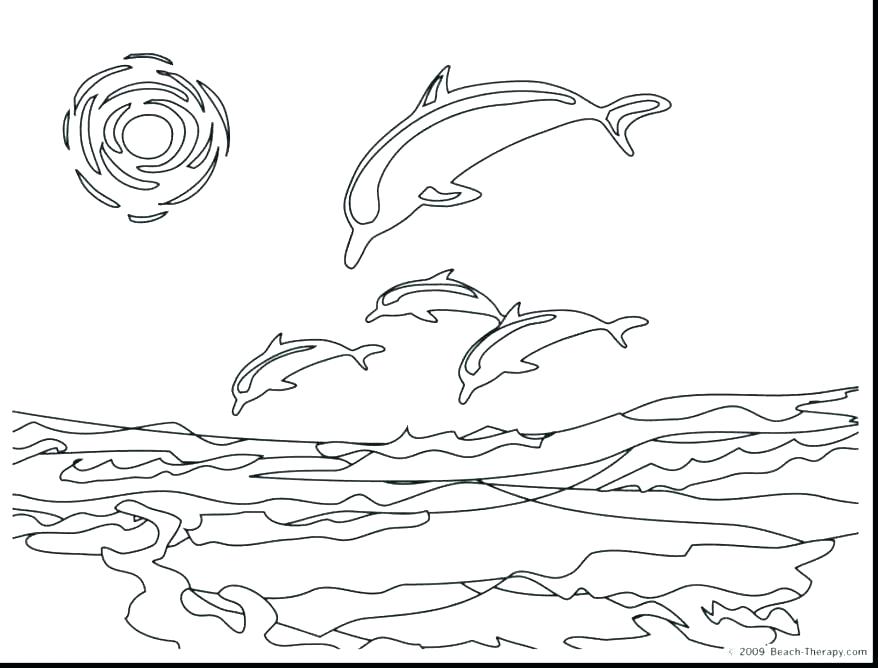 878x668 Interesting Dolphins Coloring Page