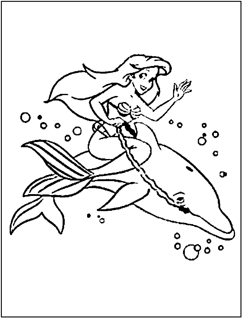 800x1050 Dolphin Coloring Pages