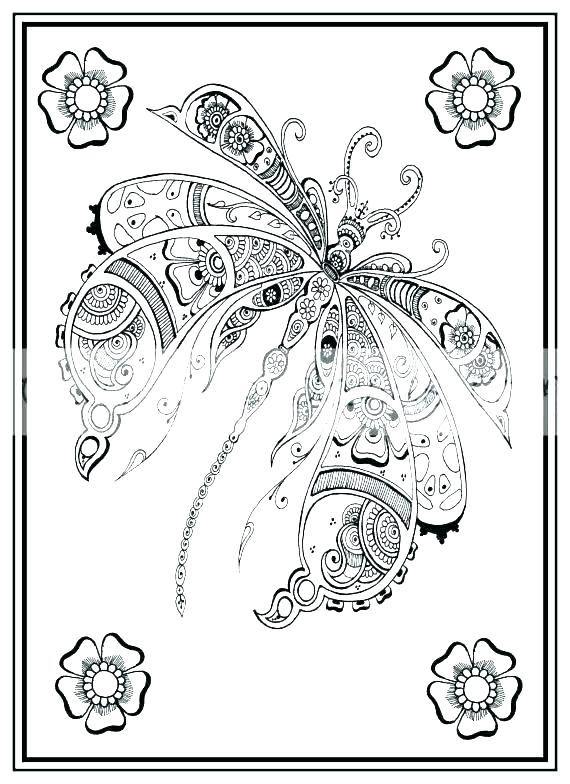 570x784 Dragonfly Coloring Page Decorative Dragonfly Coloring Book