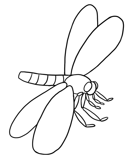 480x600 Bug Museum