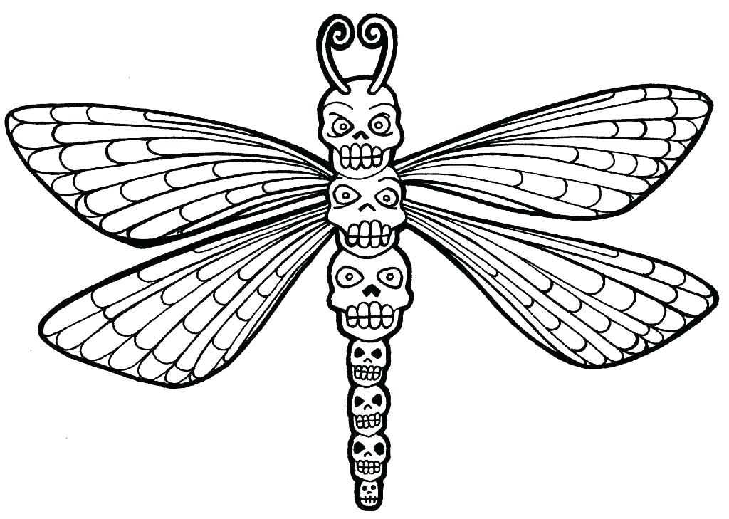 1024x729 Dragonfly Mandala Coloring Pages Dragonfly Coloring Page Dragonfly
