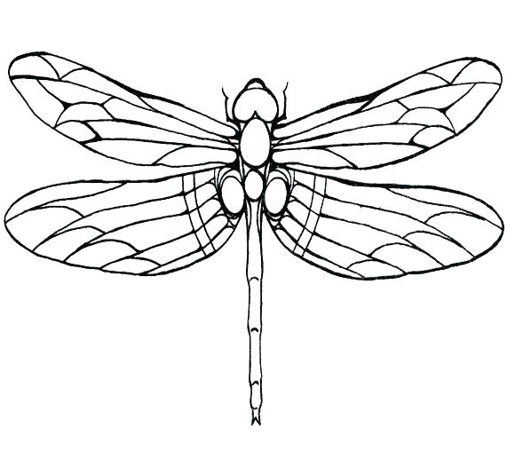 580x508 Green Darner Dragonfly Coloring Page Free Printable Coloring Pages