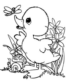 236x283 Hard Dragonfly Coloring Page. Dragonfly Coloring Pages Free