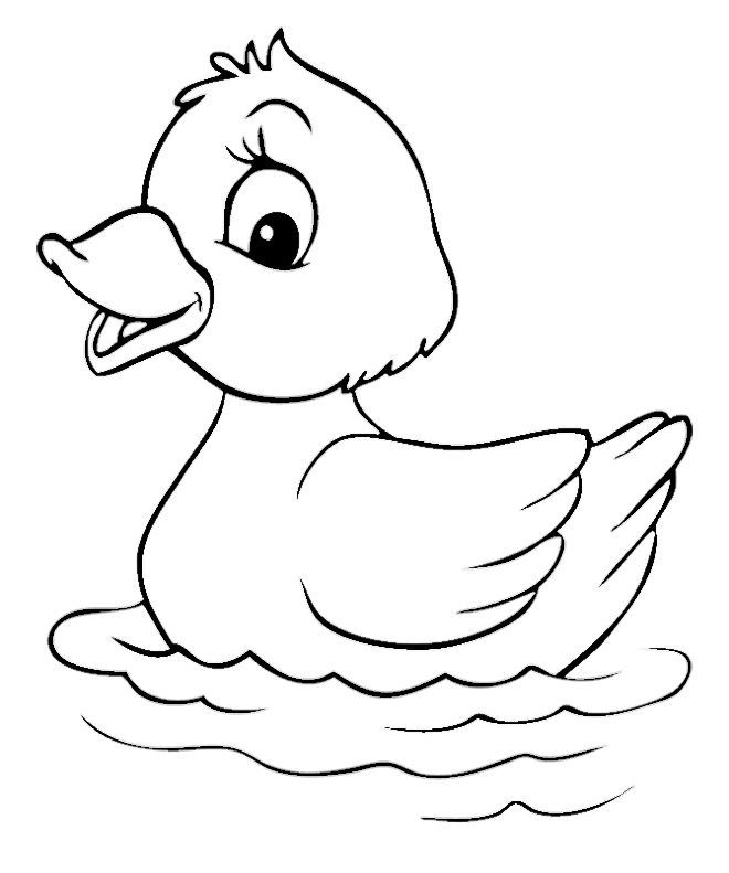 660x791 Duck Coloring Pages For Kids