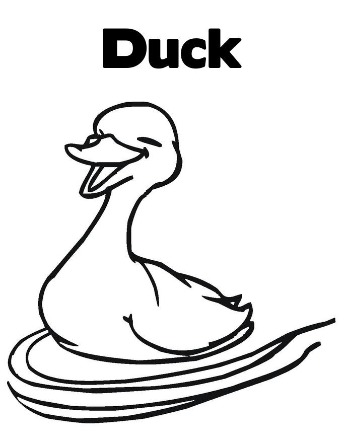 685x886 Free Printable Duck Coloring Pages