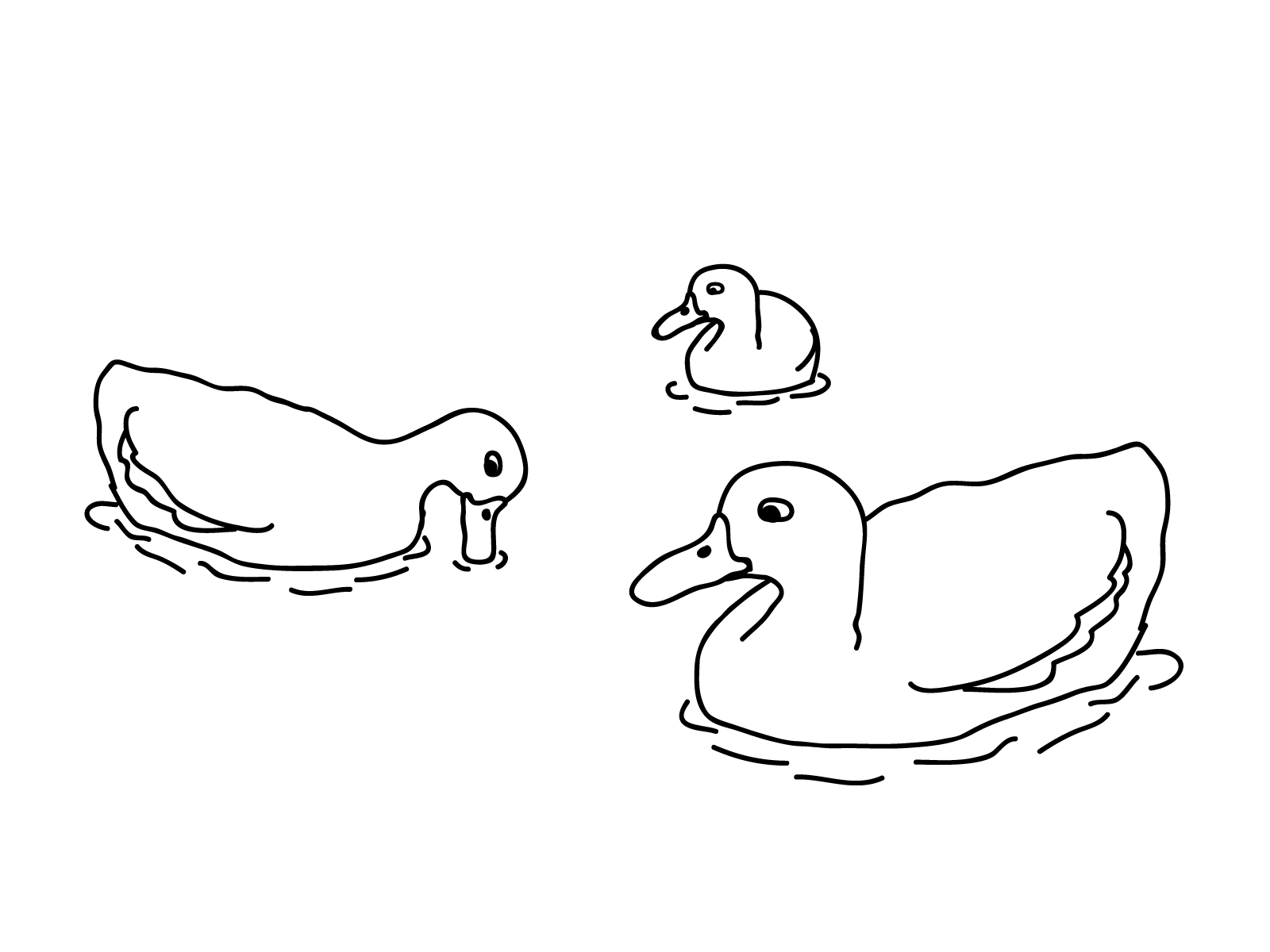 1600x1200 Marvelous Mallard Duck Coloring Pages Free Ducks And Friends Page