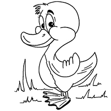 230x230 Top 20 Free Printable Duck Coloring Pages Online