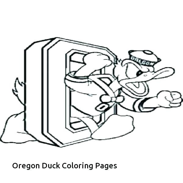 600x600 Coloring Pages Ducks Duck Coloring Pages Baby Duck Coloring Pages
