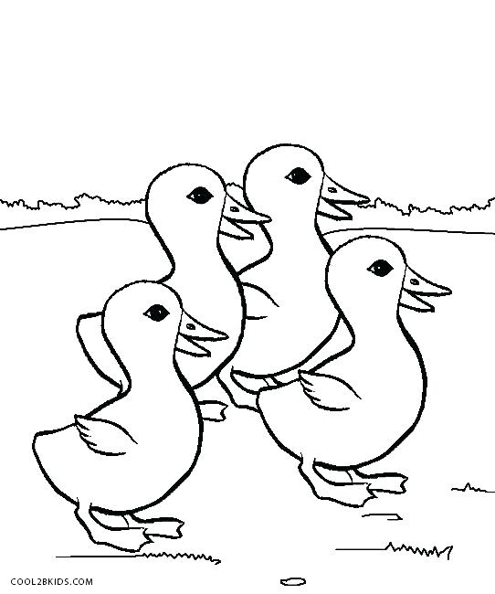 542x650 Daffy Duck Coloring Pages Free Printable Coloring Pages Duck