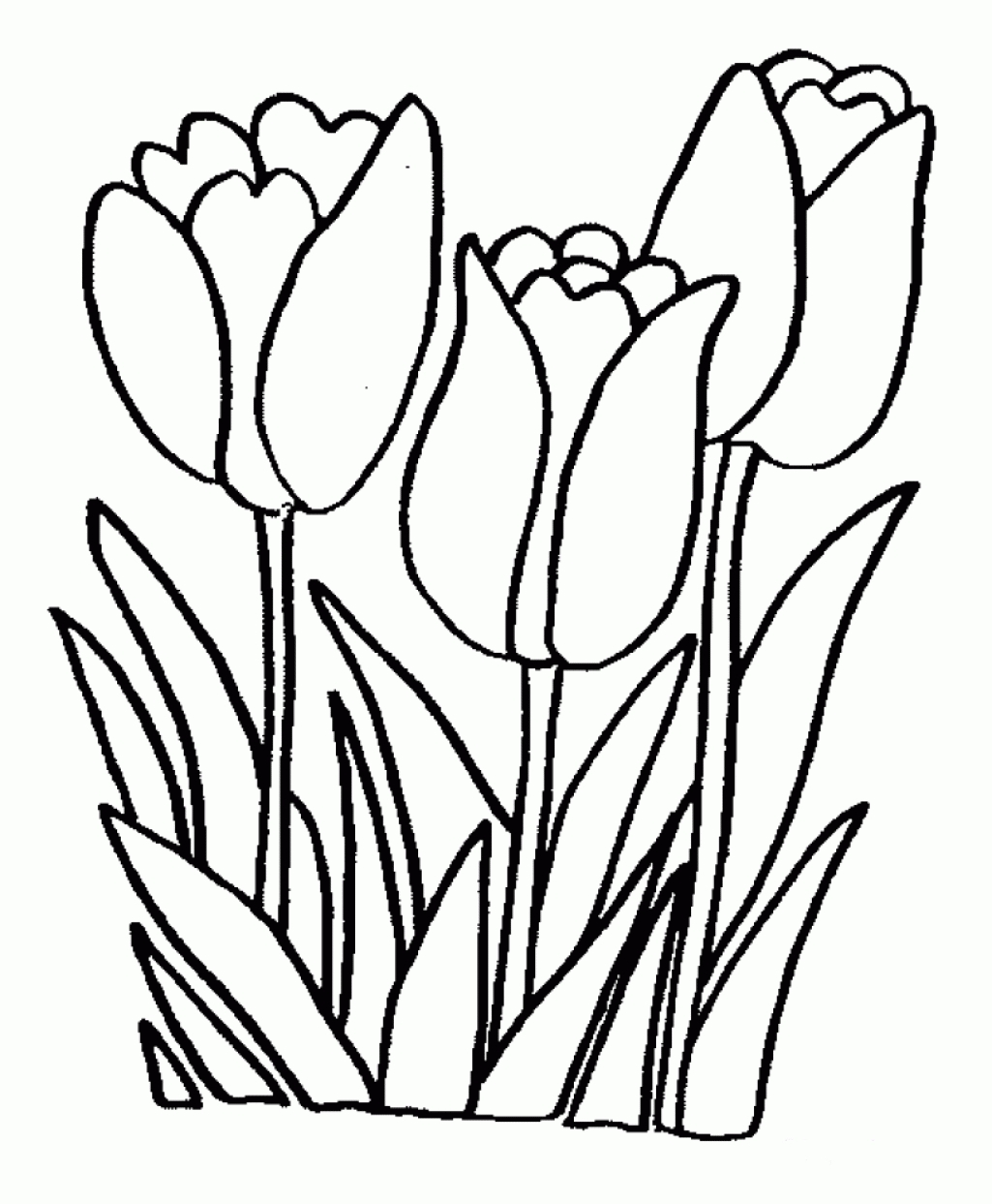 1025x1243 Coloring Pages Flower Free Printable Easy Within Plans 10