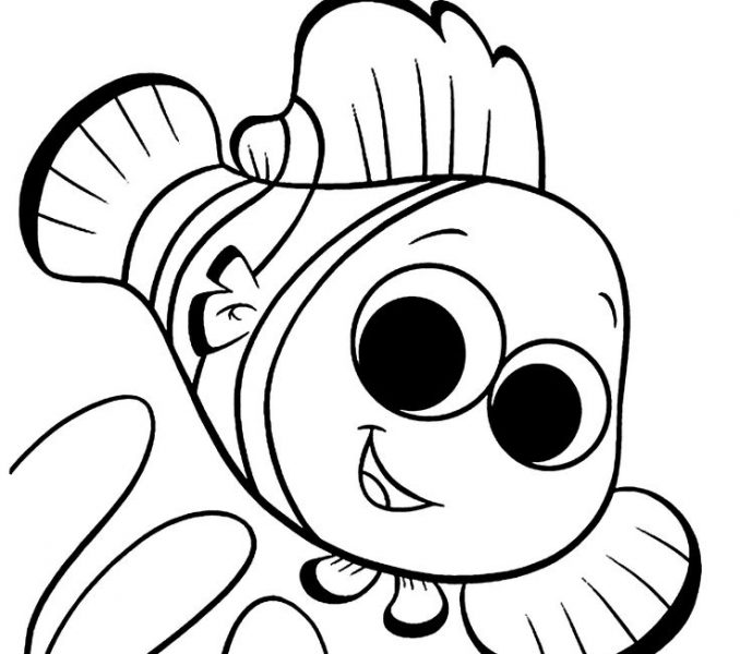 678x600 Color Sheets For Kids Coloring Page