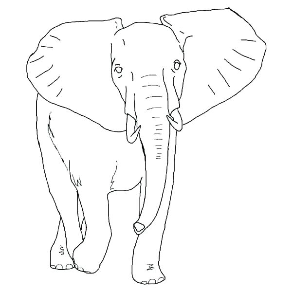 600x600 Elephant And Piggie Coloring Pages Free Elephant Coloring Pages
