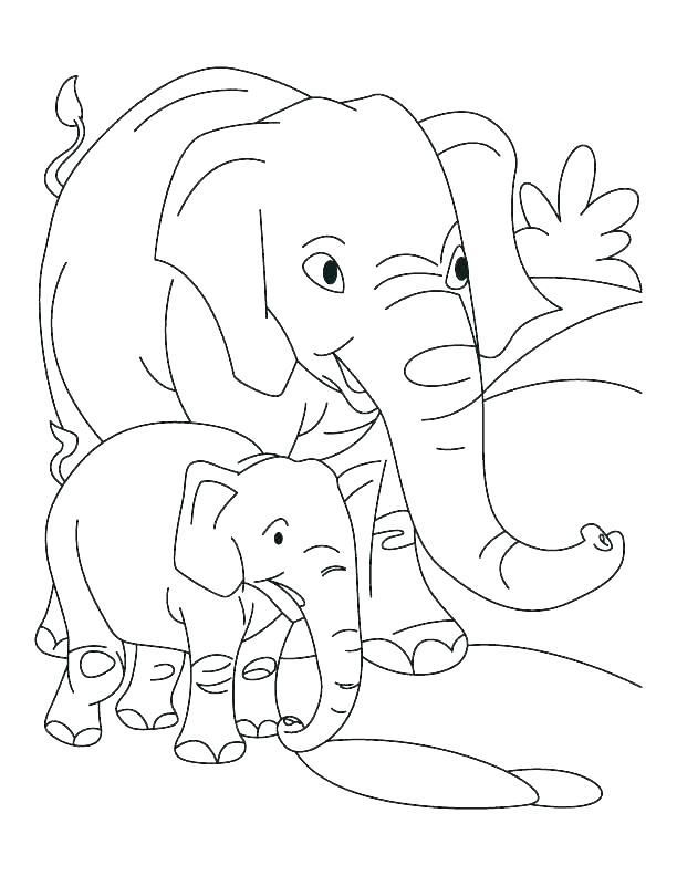 612x792 Elephant Color Pages Elephant And Coloring Pages And Elephant