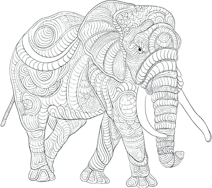 736x651 Elephant Coloring Page Free Elephant Coloring Pages Elephant