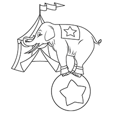 230x230 Top 20 Free Printable Elephant Coloring Pages Online