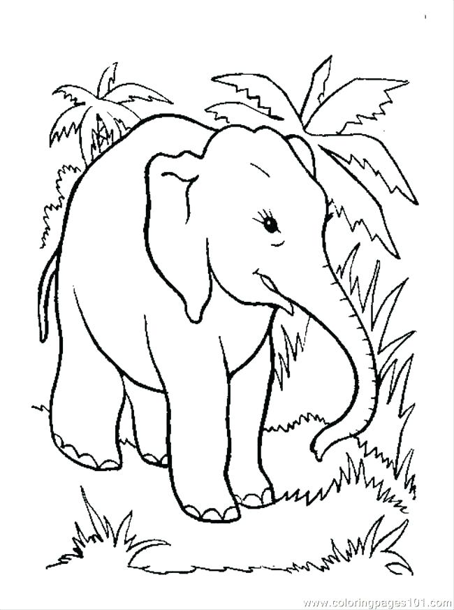 650x873 Elephant And Piggie Coloring Pages Icontent
