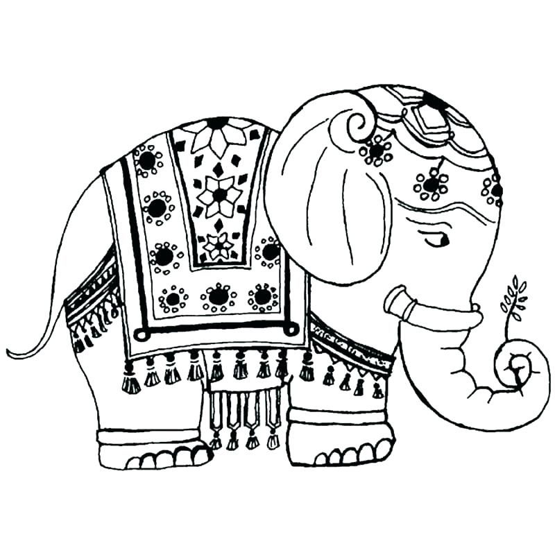 800x800 Coloring Pages Of Elephants Elephant Coloring Pages Elephant Color