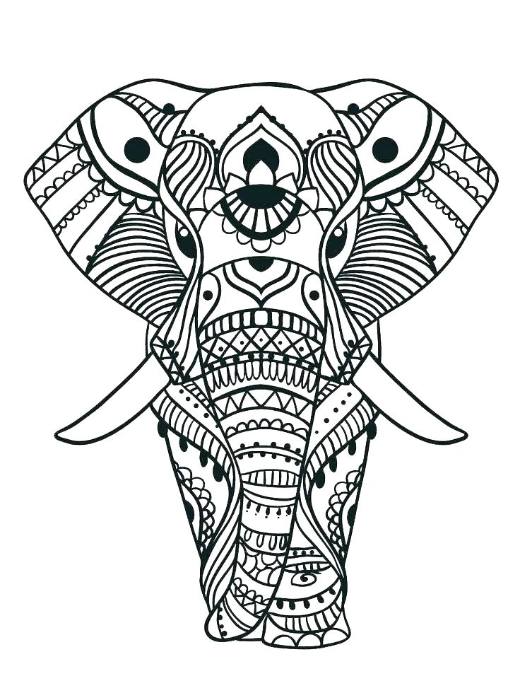 736x980 Elephants Coloring Pages Free Elephant Coloring Pages Elephant