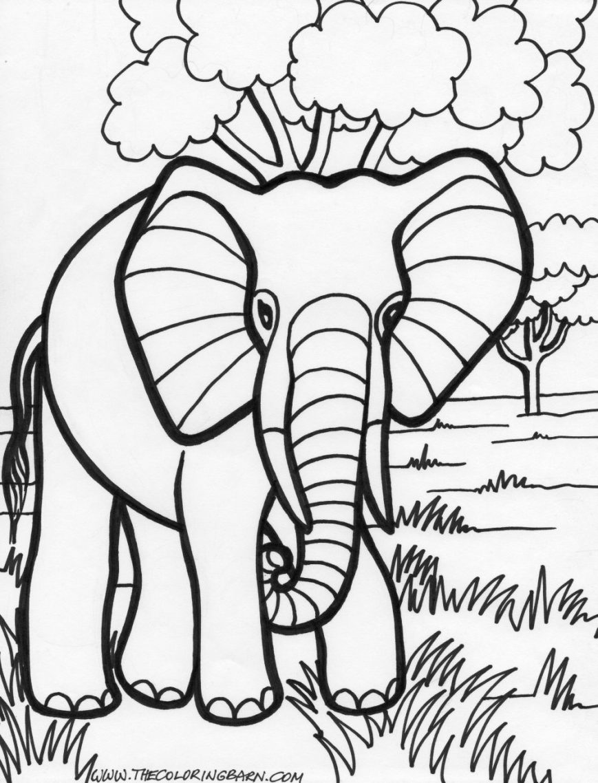 869x1138 Baby Elephant Coloring Pages To Download And Print For Free Alexa