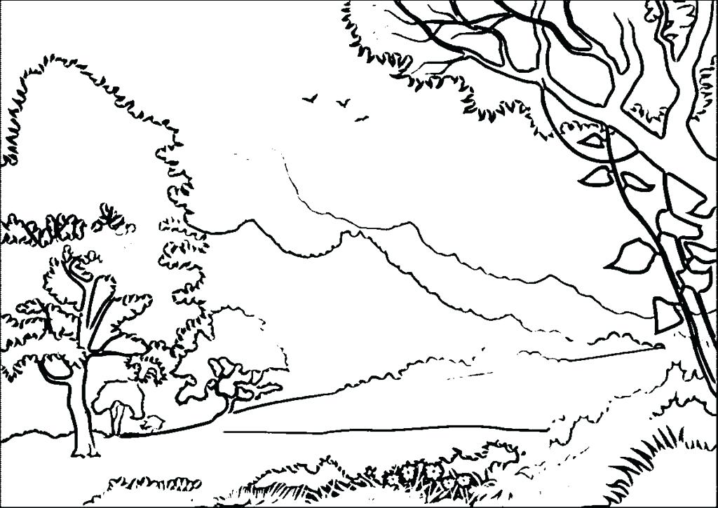 1024x725 Forest Coloring Page Best Forest Coloring Page Wallpapers
