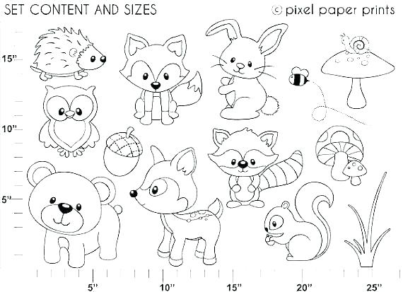 570x413 Forest Coloring Pages Coloring Forest S S Forest Coloring Pages