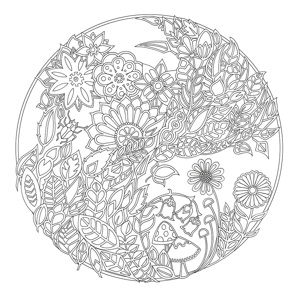 1000x1000 New Artist Johanna Basford Enchanted Forest Coloring Pages Garden