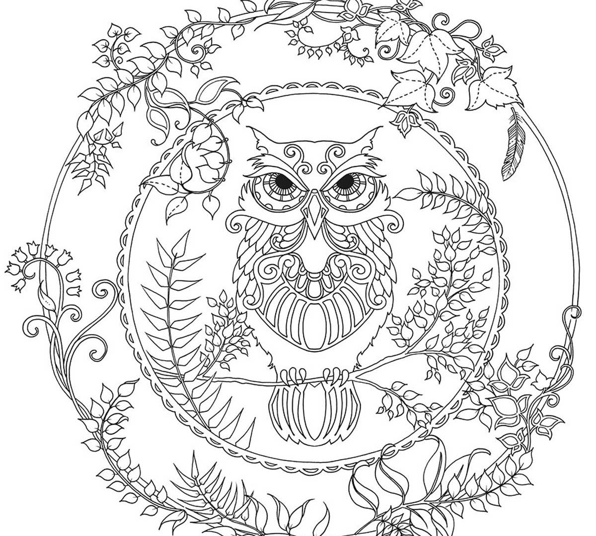 1200x1080 Rain Forest Trees Coloring Page Many Interesting Pages For Adults