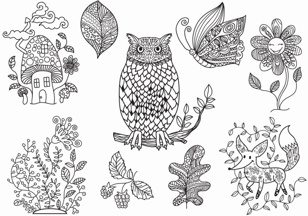 1024x717 Rustic Photograph Of Free Fox Coloring Pages