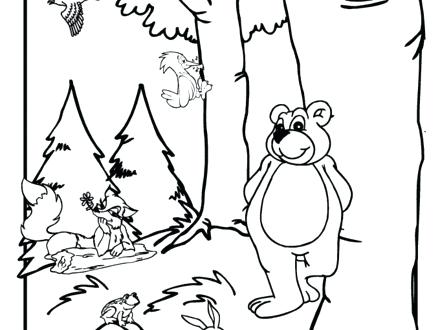 440x330 Temperate Deciduous Forest Coloring Pages Coloring Page Forest