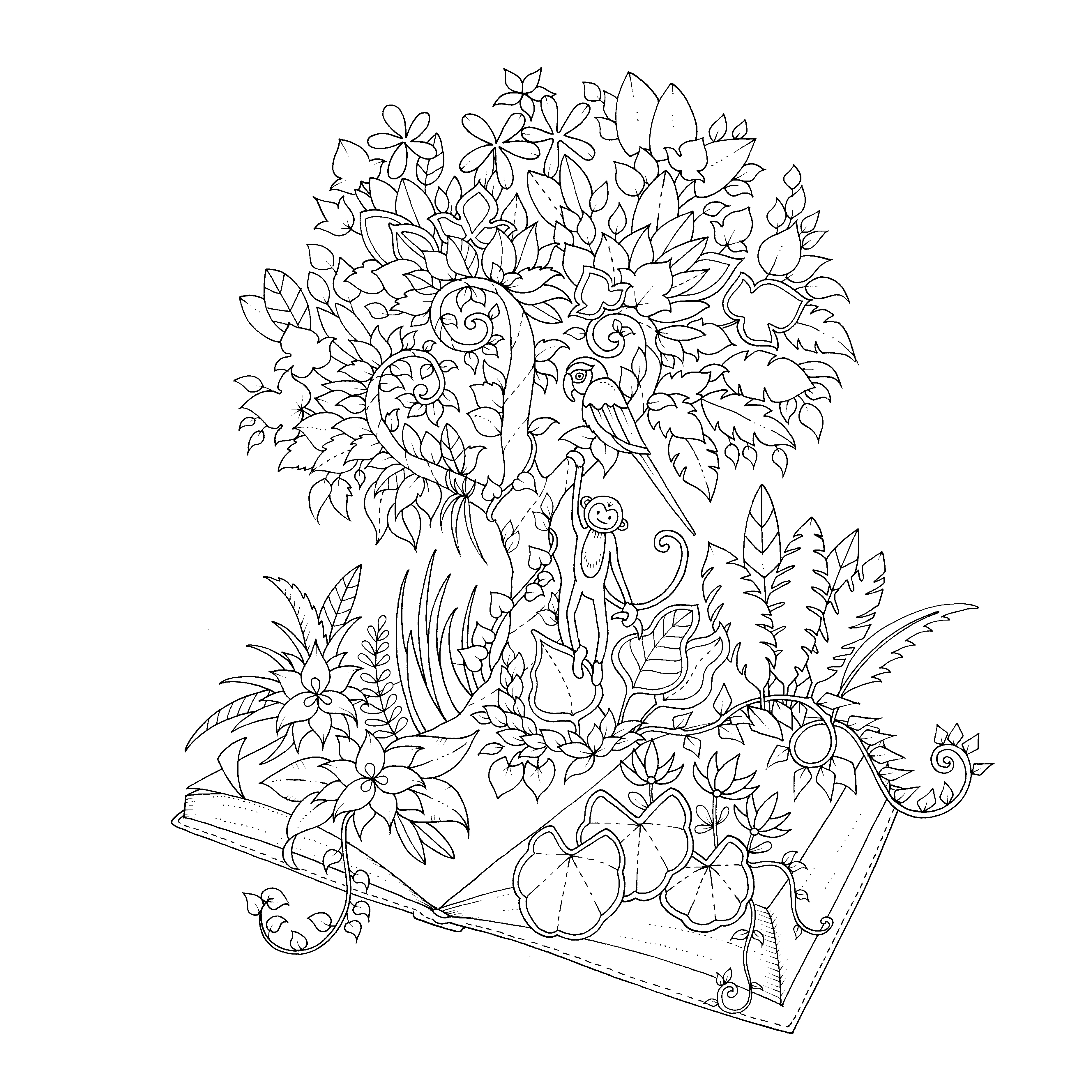 3750x3750 Buy Enchanted Forest An Inky Quest Amp Coloring Book Book Line