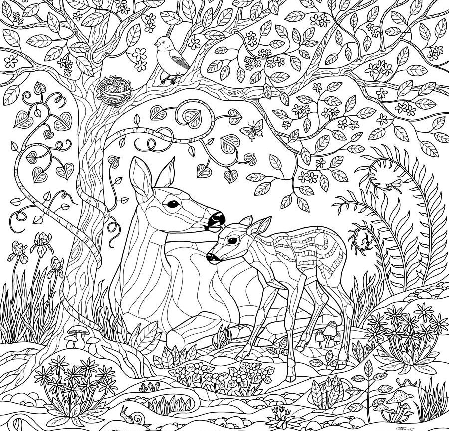 900x864 Coloring Page Lovely Sloth Forest Stock Vector Pages For Adults