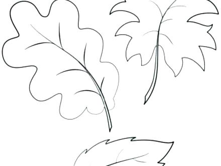 440x330 Printable Autumn Coloring Pages Fall Coloring Pages Free 4 Free