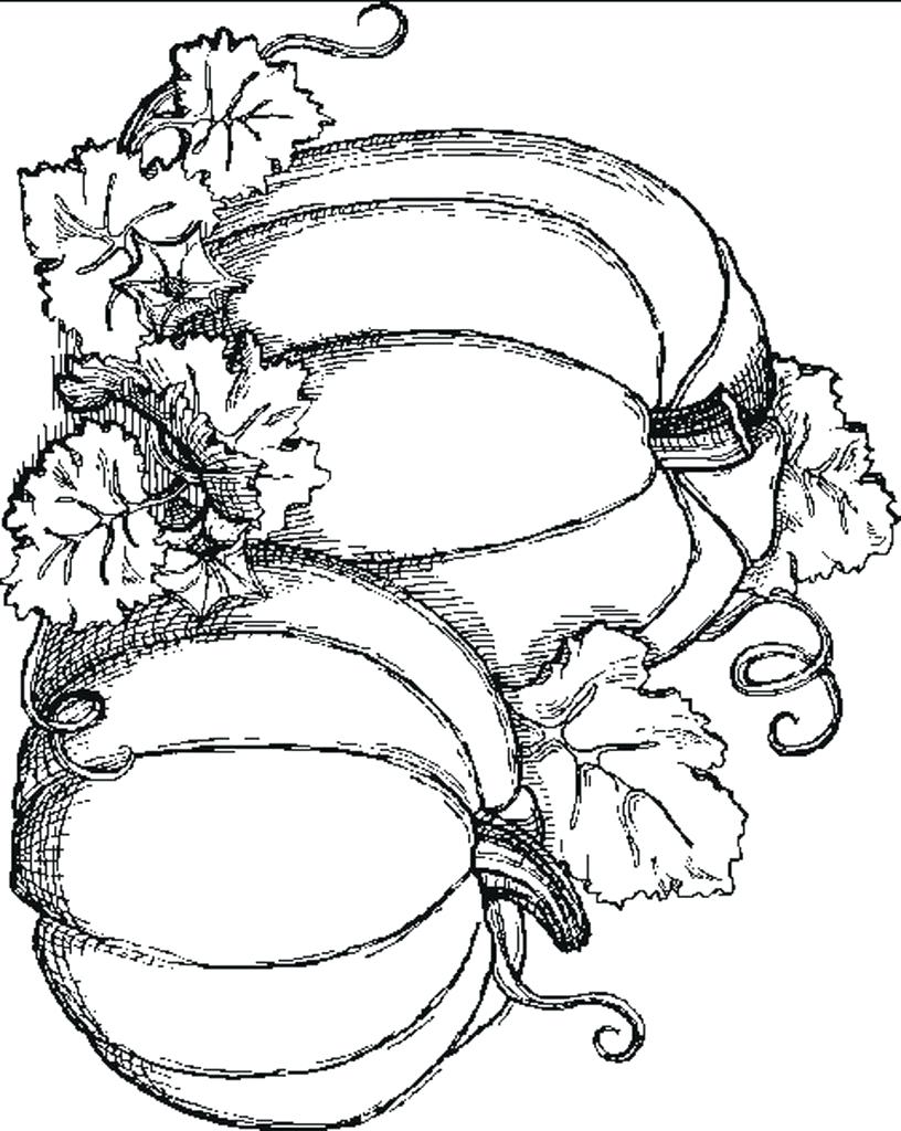 816x1024 Coloring Pages ~ Fall Coloring Page Sheet For Primary School Pages