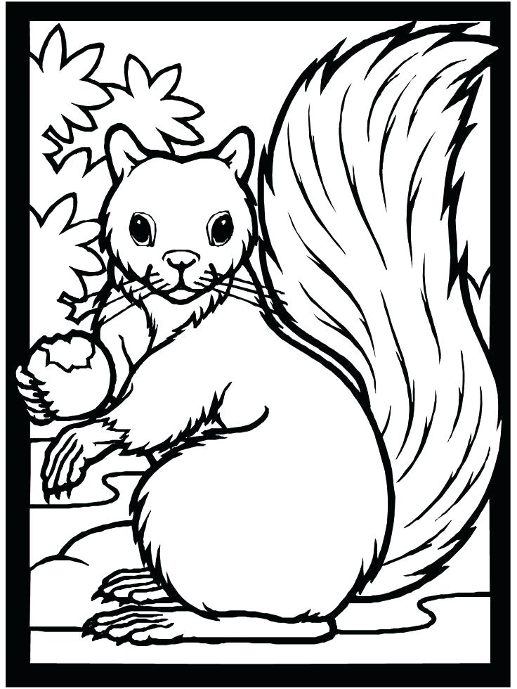 736x980 Free Coloring Pages Fall
