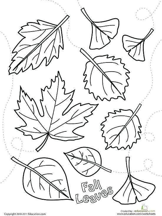 550x733 Thanksgiving For Kids Printable Fall Coloring Pages Free Coloring