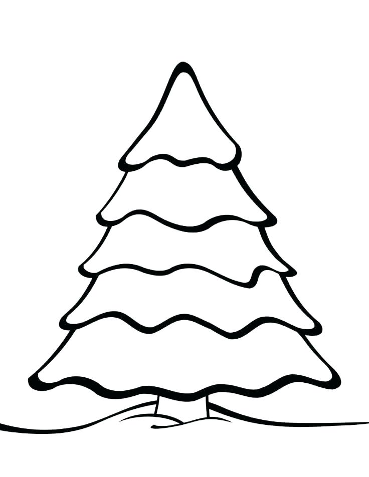 736x952 Pecan Tree Coloring Page Printable Tree Coloring Page Free