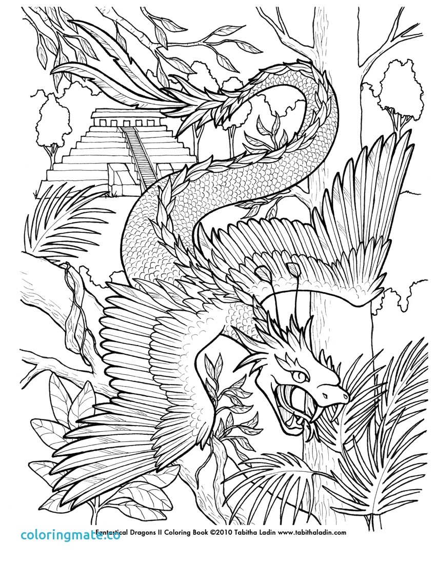 850x1100 Fantasy Coloring Pages Coloring Page 2019