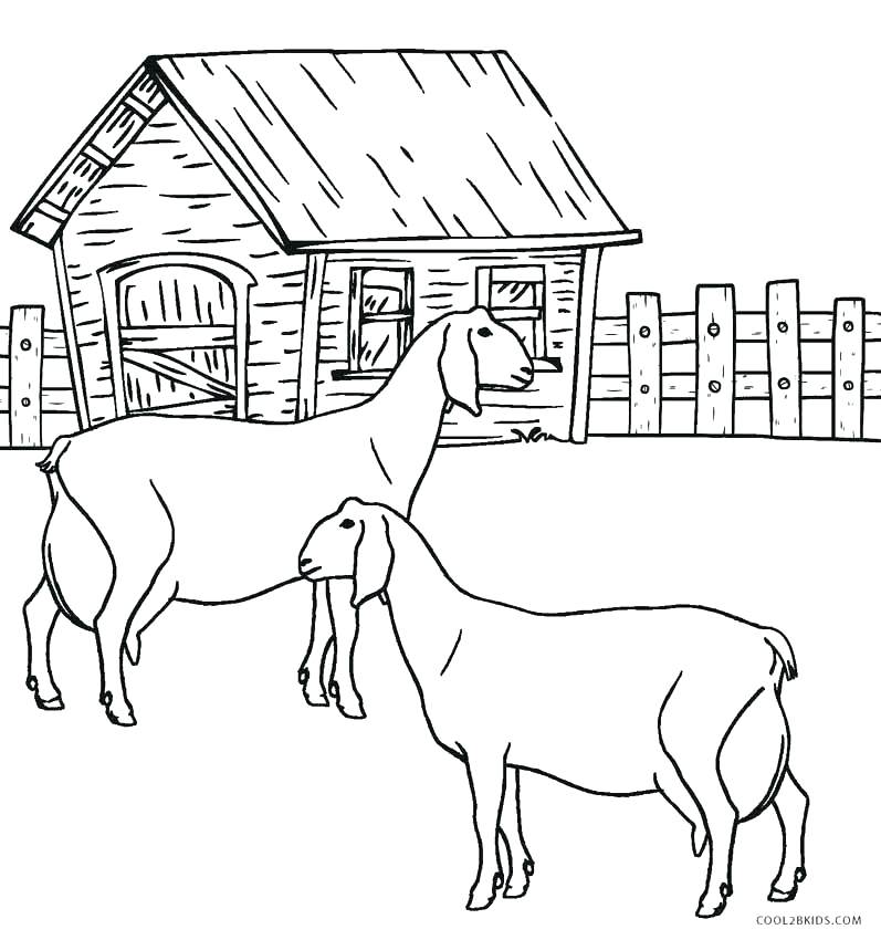 797x850 Free Coloring Pages Of Farm Animals Coloring Pages Farm Free Farm