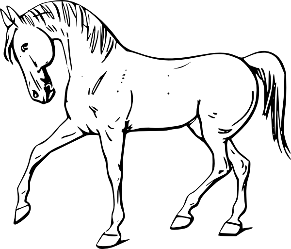600x513 Free Farm Farm Animals Coloring Pages Horse 51