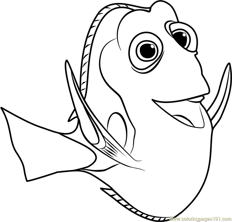 800x766 Awesome Finding Dory Coloring Pages Advance