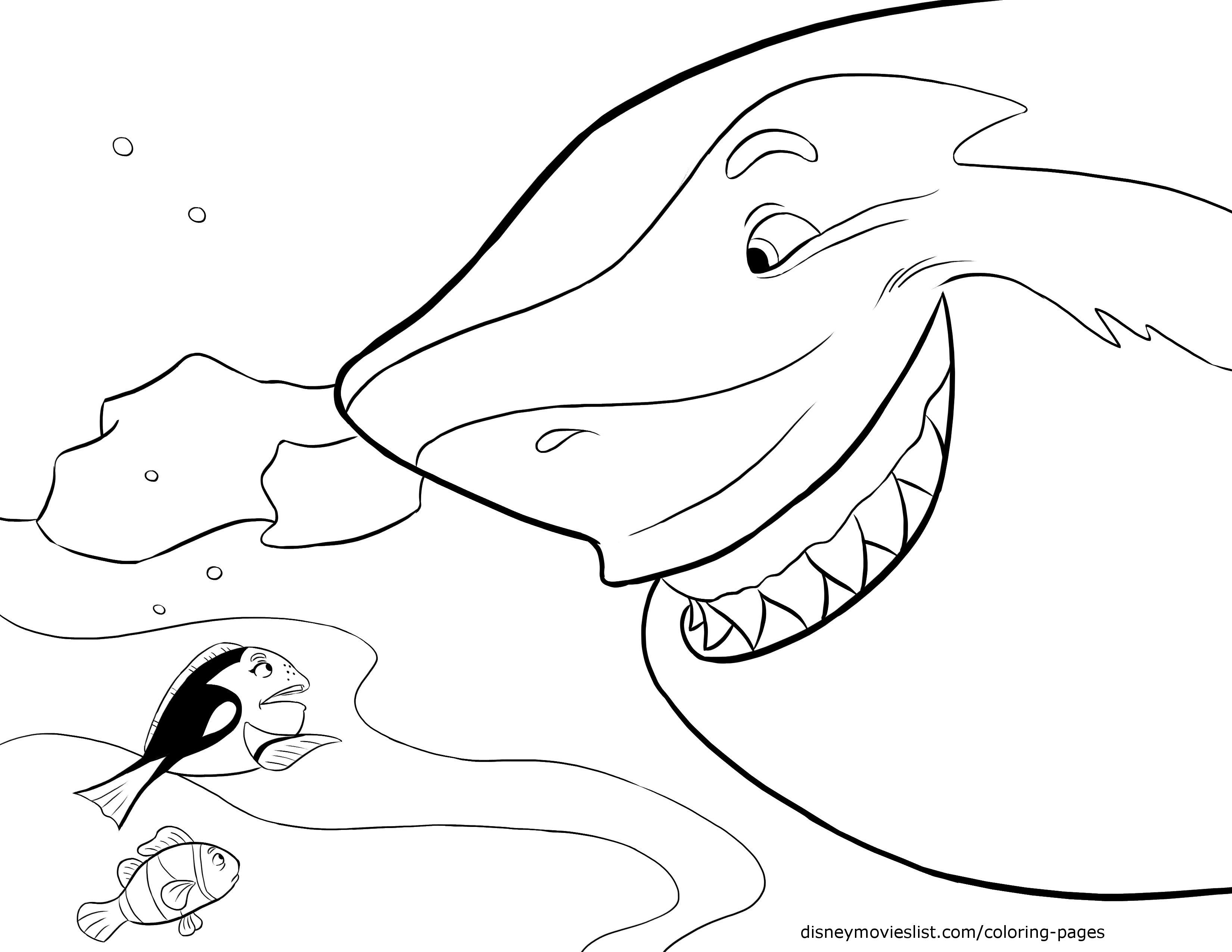 3300x2550 Disney S Finding Nemo Coloring Pages Sheet Free Disney Printable