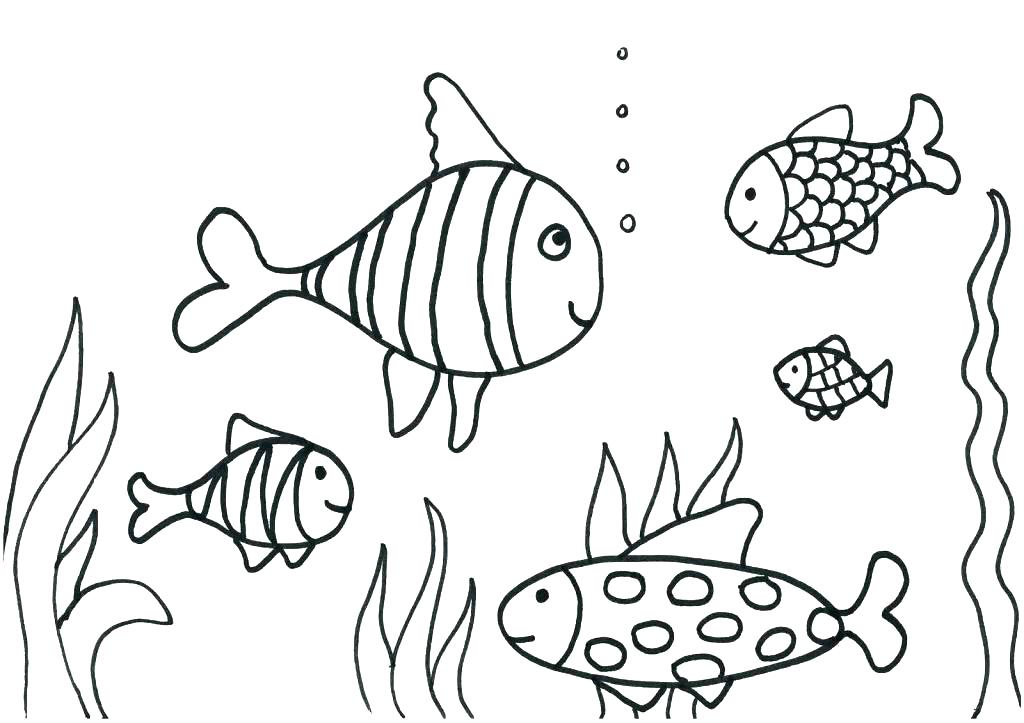 1024x723 Fish Coloring Pages Free Fishing Coloring Sheets Printable Fish