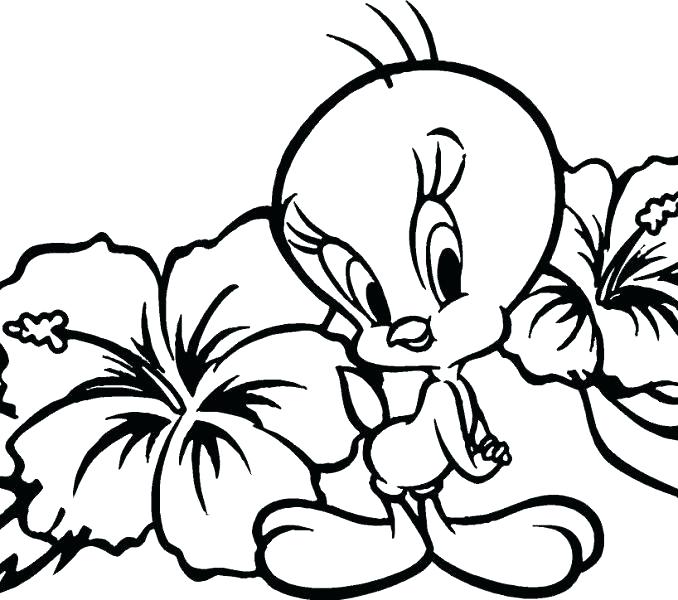678x600 Flowers Coloring Pages Printable Free Coloring Pages Of Flowers