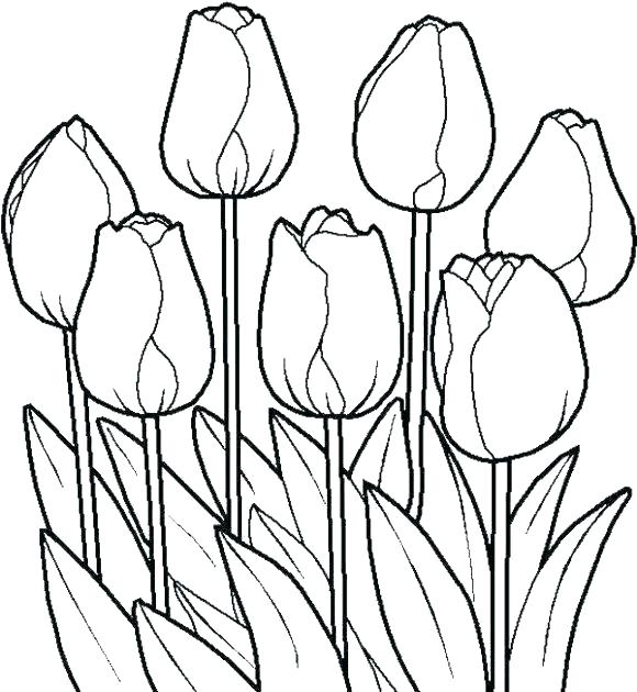 580x630 Free Coloring Pages Of Flowers As Well As Coloring Pages